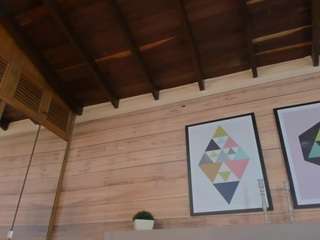 ammyscott camsoda stream image