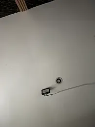 Rose-euphoria stripchat stream image