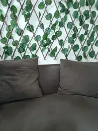 Bold-Cat stripchat stream image