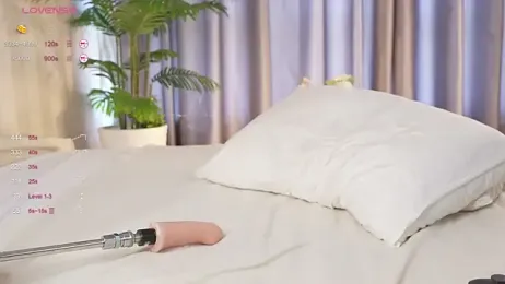 karollovea stripchat stream image