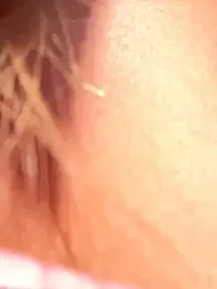 Liza_risky stripchat stream image