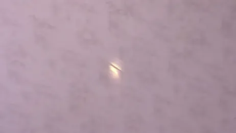 Dear-Venus stripchat stream image