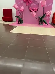 CrazzyChicks stripchat stream image