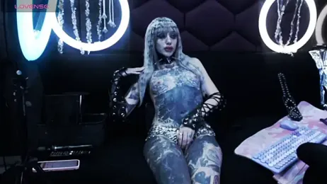 TyphoidMary stripchat stream image