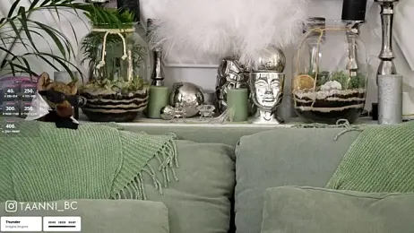 taanni_bc stripchat stream image