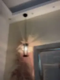 Sofia_Collins- stripchat stream image