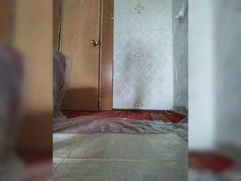 Heavenly_Wings bongacams stream image