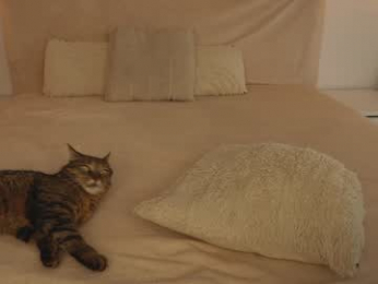 funny_to_see_you_here chaturbate stream image