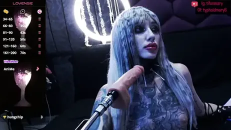 TyphoidMary stripchat stream image