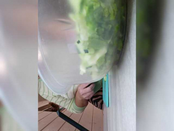 Angelia22 bongacams stream image