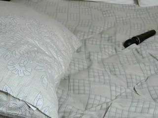 quennagales camsoda stream image