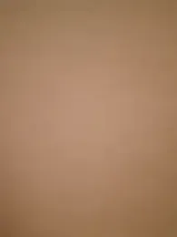 iamnicole stripchat stream image