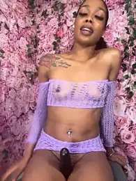 mismialove stripchat stream image