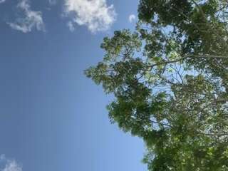 sophiekitty camsoda stream image