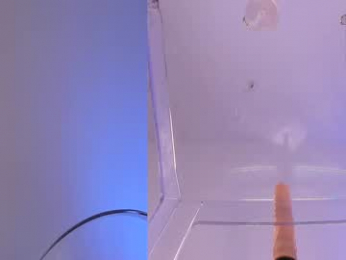 dakota_blare chaturbate stream image