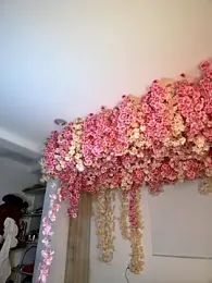 seraphine23 stripchat stream image