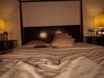 katyerave bongacams stream image