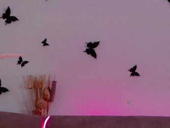 Kocmoc_Katerina bongacams stream image