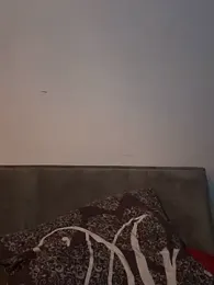 newMichelle stripchat stream image