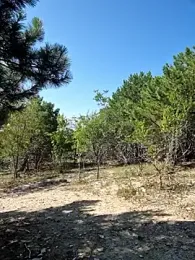 -Pupsiki- stripchat stream image