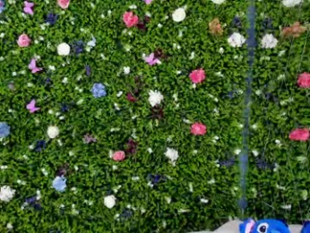 babyaylin chaturbate stream image