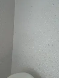 Alirawrz stripchat stream image