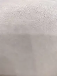 Janhvi- stripchat stream image