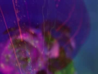 heybanan chaturbate stream image