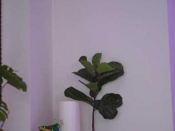 NicoleSarahX bongacams stream image, 13.02.2025 19:50