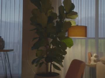 emma_lu1 chaturbate stream image