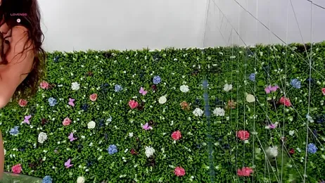 BabyAylin stripchat stream image