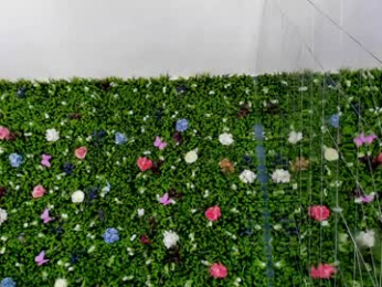 babyaylin chaturbate stream image