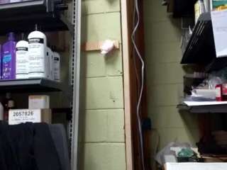 lushdiamondz camsoda stream image