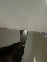 kiarafonseca_ stripchat stream image