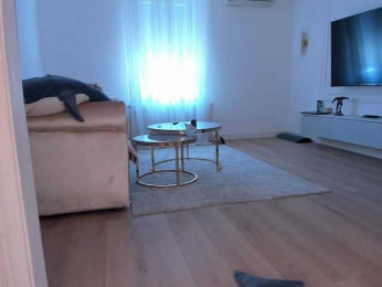 seilyfox bongacams stream image