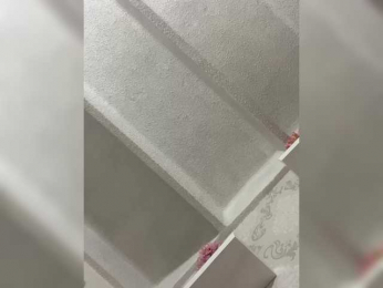 SallyeLeins bongacams stream image