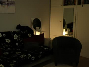 _blackbee_ chaturbate stream image