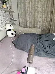 Lola_Hale stripchat stream image