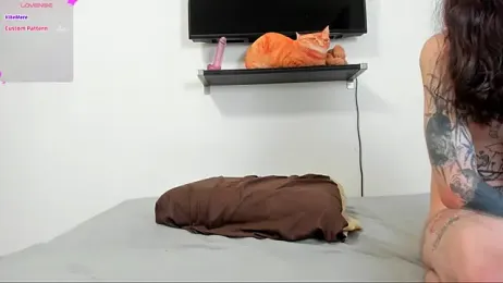 ravenousbiter stripchat stream image