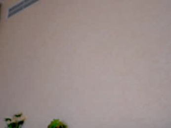 pafosstar chaturbate stream image