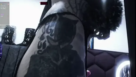 TyphoidMary stripchat stream image