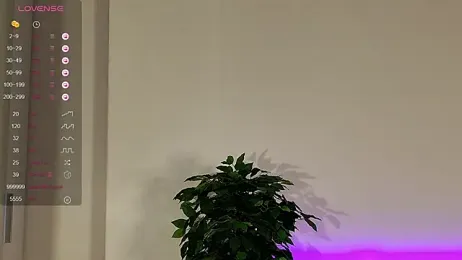 Jane_Meys stripchat stream image