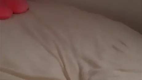 KarinBates stripchat stream image