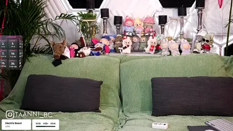 taanni_bc stripchat stream image