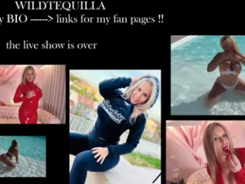 wildtequilla chaturbate stream image