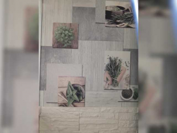 Anesteishen bongacams stream image