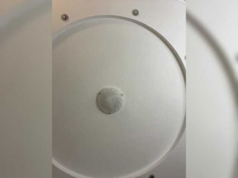 VICTORIA_ bongacams stream image