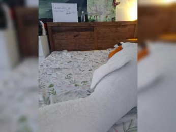 LittleDelora bongacams stream image