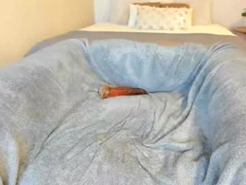 sexxylaurab chaturbate stream image