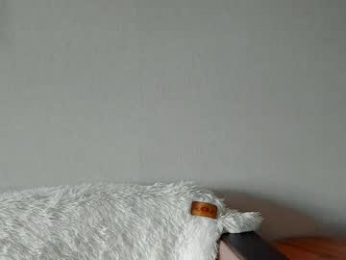 evapuff chaturbate stream image